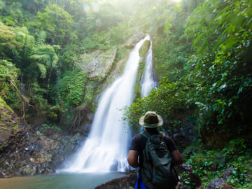 Bird Watching Tour in Kitulgala from Colombo