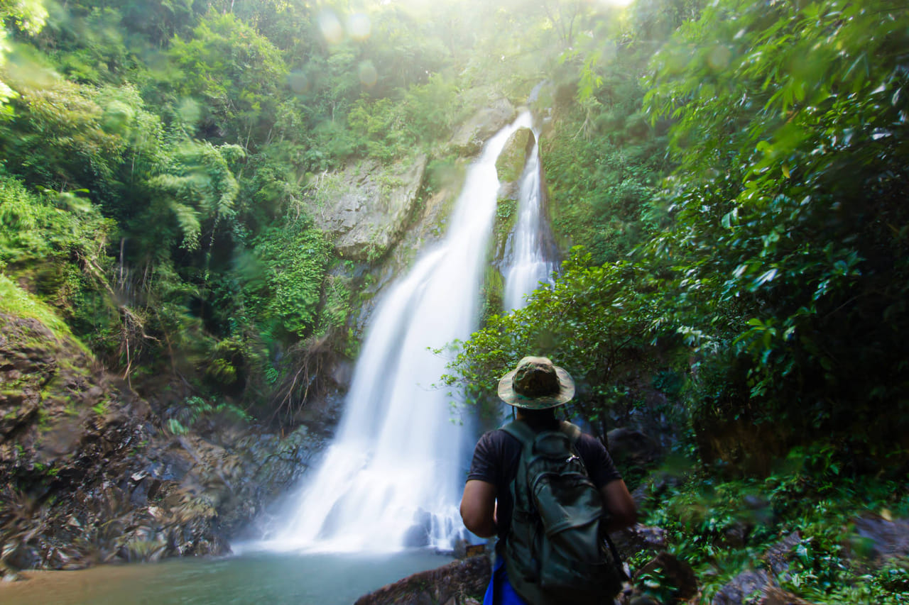 Bird Watching Trail in Kitulgala From Colombo 5