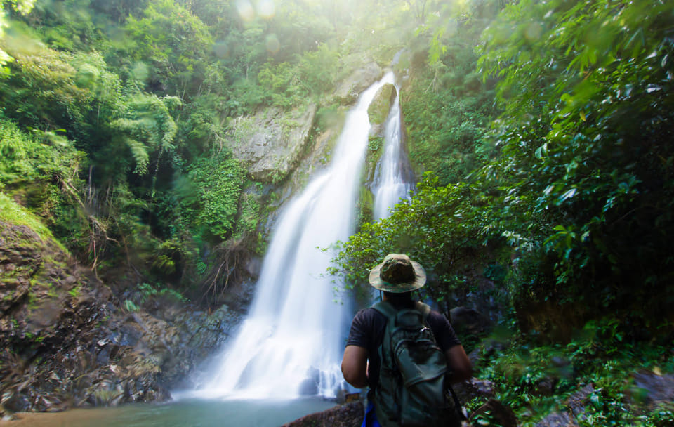 Bird Watching Tour in Kitulgala from Colombo