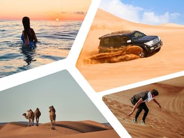 Half-day desert safari and swim opportiunity falcon Tours Doha Qatar