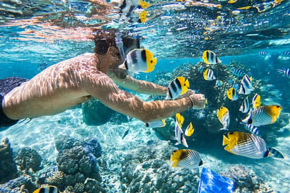 Marsa Mubarak Snorkeling Trip