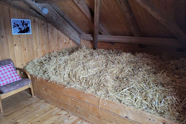 4 Day Trekking Tour Swiss Magic Through the Alps