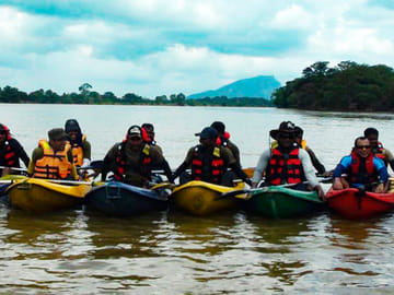 Madu River Boat Safari Tour in Colombo, Sri Lanka