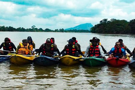 Madu River Boat Safari & Galle City Tour with Turtle Hatchery Experience