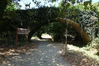 Explore the Hidden Beauty of Richtis Gorge on a Private Tour 6