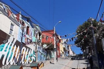 Private Valparaíso Walking Tour with Local Lunch from Santiago