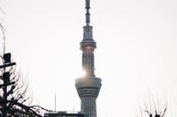 Tokyo Early Morning Tour Asakusa Meiji Shrine (Private Opt) 9