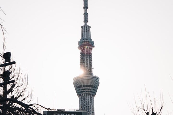 Tokyo Early Morning Tour Asakusa Meiji Shrine (Private Opt) 9