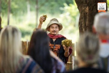 Chiang Mai Elephant Care and Conservation Volunteer Program
