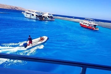 Snorkeling Adventure with Dolphins in Hurghada, Egypt