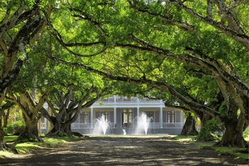 North Island Tour of Port Louis and Pamplemousses Gardens