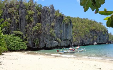 Private Shore Excursion to Puerto Princesa Underground River