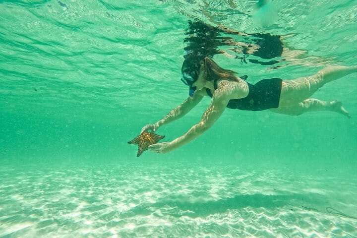 Discover the stunning natural pool and swim with star fish near Saona Island.