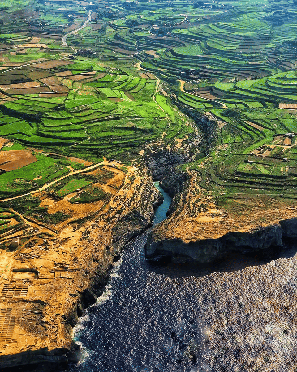 Afternoon Valletta Harbour Cruise and Free Time In Sliema (Including Guide and Transport)