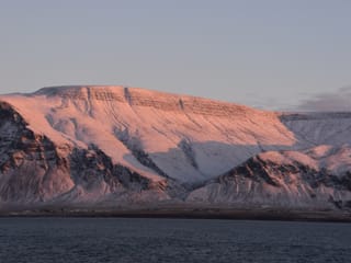 Reykjavík Whales & Northern Lights, photo 22