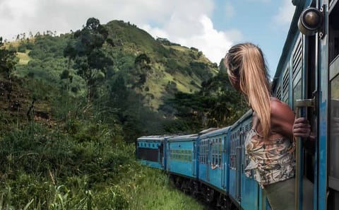Ella Day Tour with Scenic Train Ride from Kandy