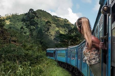 Ella Day Tour: Scenic Train Ride & Iconic Attractions