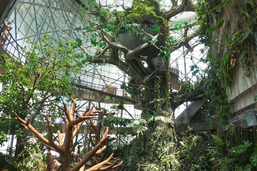 Ain Dubai and The Green Planet Tickets