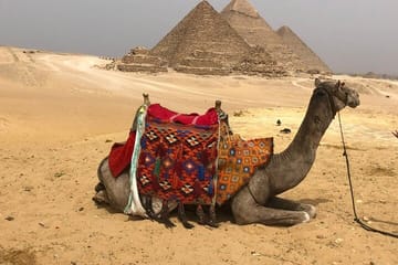 Private Tour of Giza Pyramids with ATV, Camel Ride, and Lunch