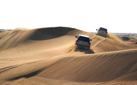 Quad Biking and BBQ Dinner with Live Show in Dubai