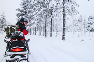 Snowmobile Safari to Reindeer and Husky Farm in Saariselka