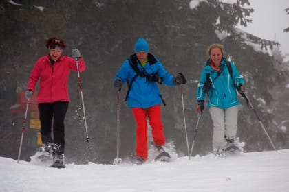 Full-Day Snowshoeing in High Tatras with Local Mountain Guide from Poprad