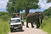 Tarangire National park