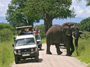 Tarangire National park
