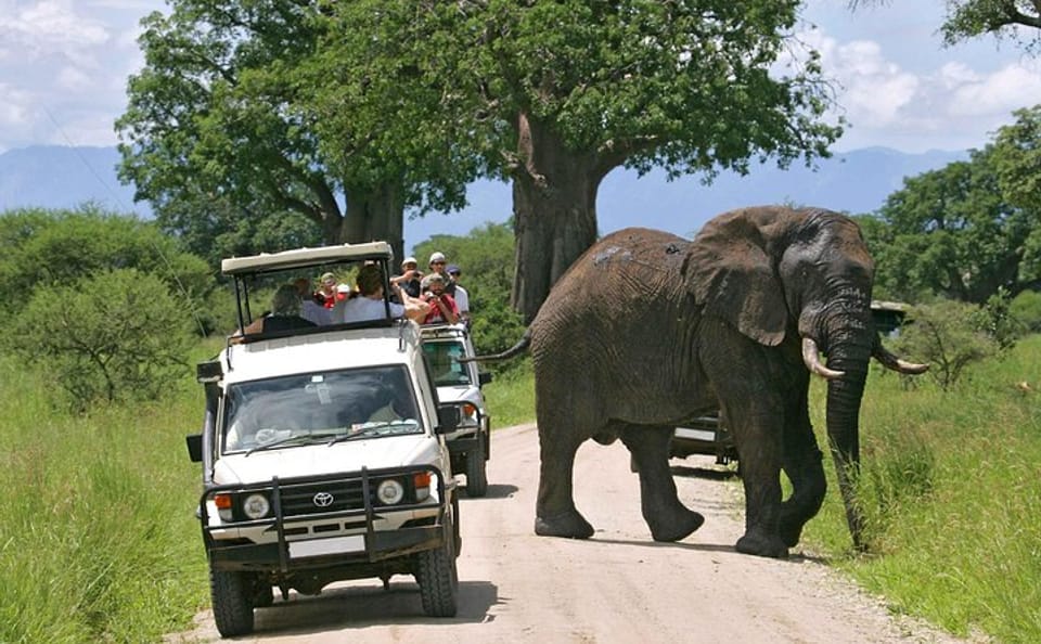 9-Day Jeep Safari Adventure in Nairobi's Wildlife Reserves