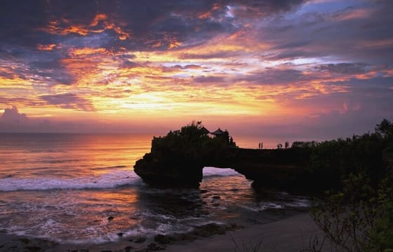 Bali Full Day Private Tour with Driver