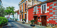 Sunday markets: Santa Brígida, San Mateo and Teror 3