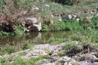 Matera: journey of the Sassi, the Murgia and the Tibetan Bridge 5