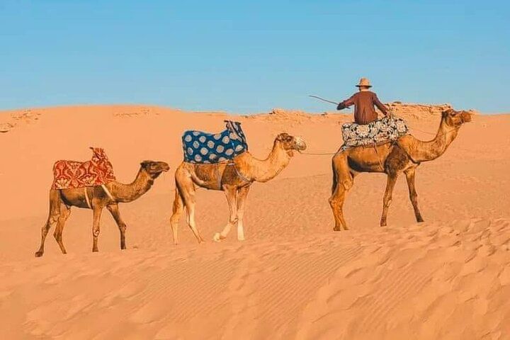 Explore Agadir on Half day & Sunset Camel ride with BBQ Dinner