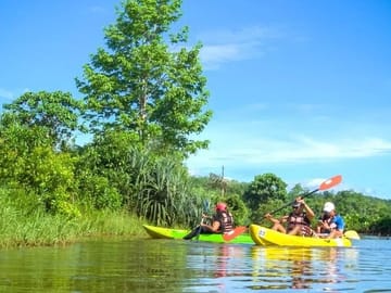 Private Kayaking Tour in Galle's Scenic Coastal Waters