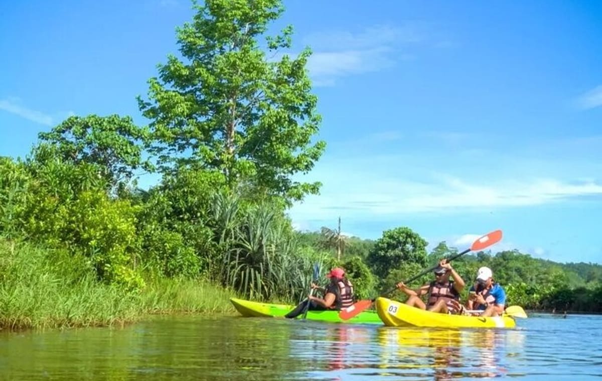 4-Hour Private Kayaking Experience in Galle
