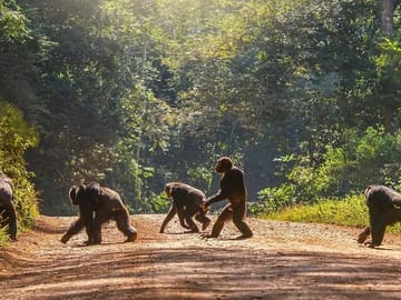 8-Day Private Safari Tour in Kampala, Mbarara, and Mubende