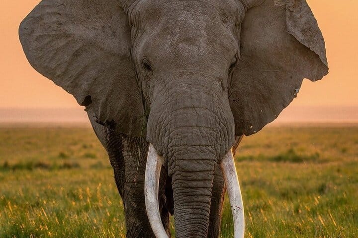 3 Days Murchison Falls NP Safari