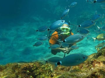 Scuba Diving Adventure in Side, Türkiye for All Levels