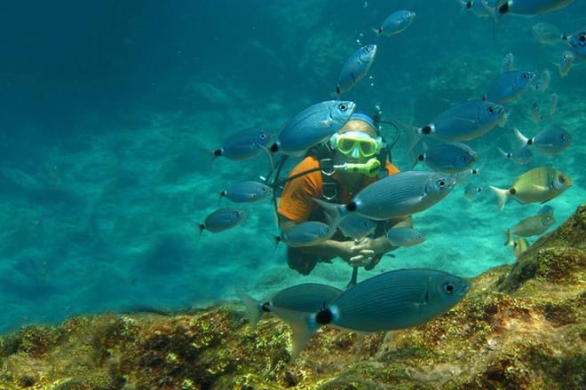 Scuba Diving Experience Tour from Side 3