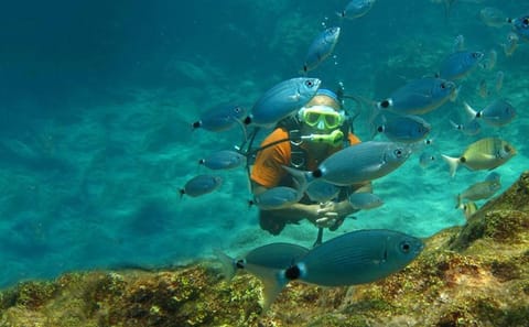 Scuba Diving Adventure in Side, Türkiye for All Levels