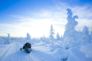 3-hour Snowmobile Tour in Levi