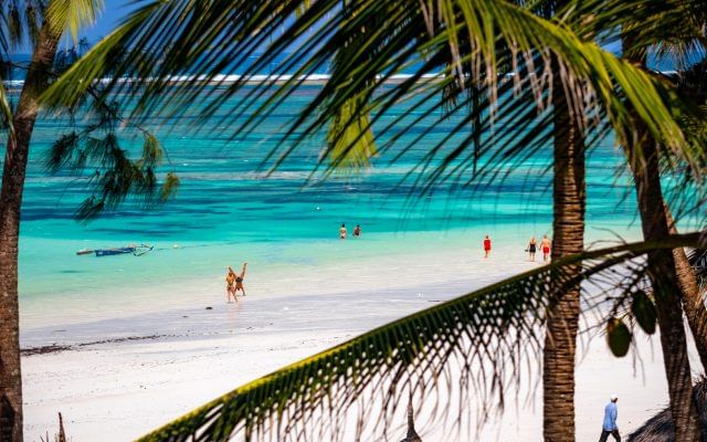 3 Days 2 Nights Diani beach $ Shimba National Reserve