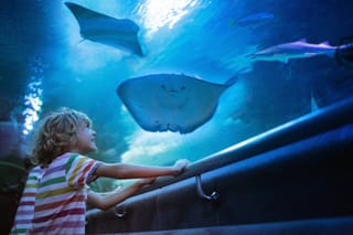 Antalya: Aquarium, Wax Museum & Combo Package Options