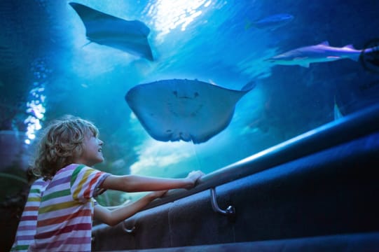 Antalya: Aquarium, Wax Museum & Combo Package Options