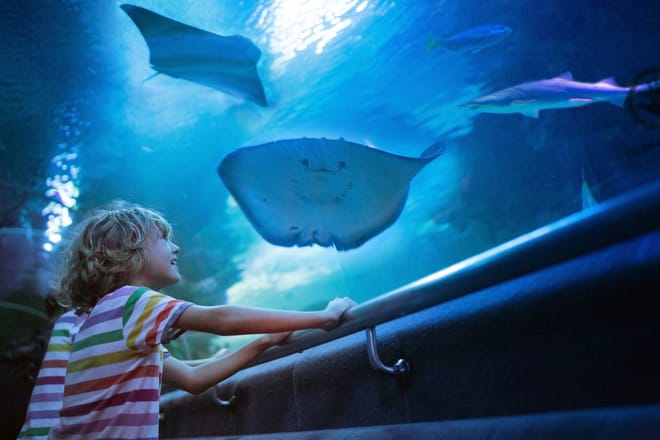 Antalya: Aquarium, Wax Museum & Combo Package Options