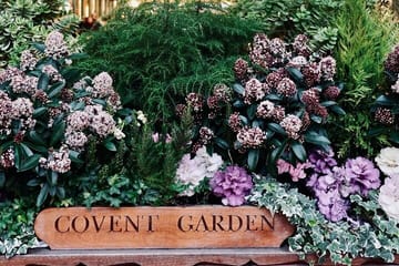 Private 3-Hour Walking Tour of London’s Iconic Sites