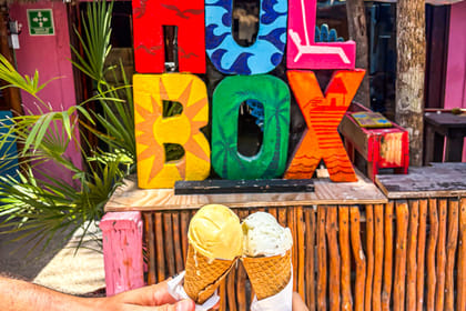 Holbox Island Day Trip with Birdwatching and Beach Lunch