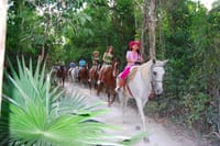 Ziplining and Horseback Riding Experience from Cancun and Playa del Carmen 6