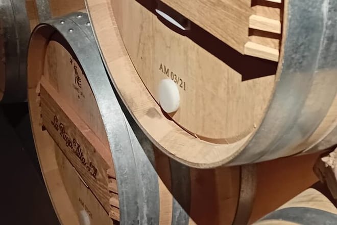 Rioja Day Tour: Explore Three Wineries with Tastings - Photo 18