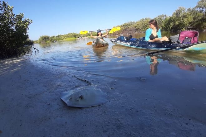 Kayak Experience in the Mangroves of Holbox Island photo 3